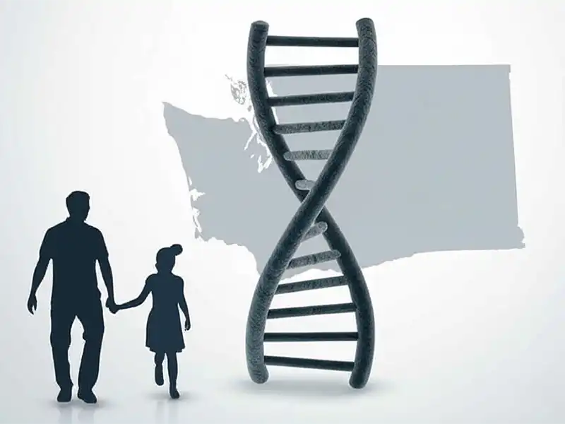 Understanding paternity laws in Washington with attorney support in Tacoma, WA